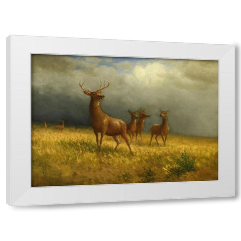 Three Deer and a Stag White Modern Wood Framed Art Print by Bierstadt, Albert