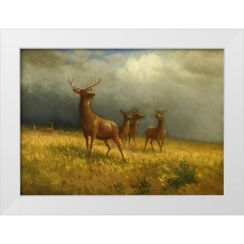 Three Deer and a Stag White Modern Wood Framed Art Print by Bierstadt, Albert