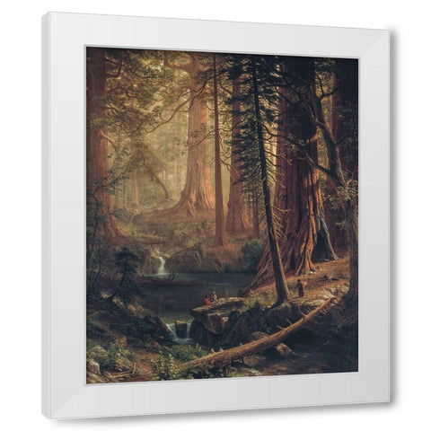 Giant Redwood Trees of California White Modern Wood Framed Art Print by Bierstadt, Albert