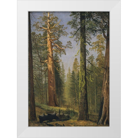 The Grizzly Giant Sequoia, Mariposa Grove, California White Modern Wood Framed Art Print by Bierstadt, Albert