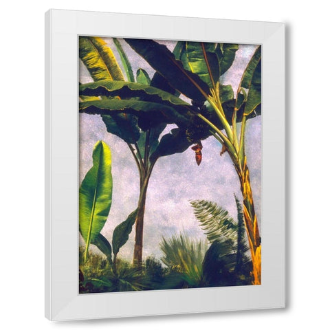Banana Trees White Modern Wood Framed Art Print by Bierstadt, Albert