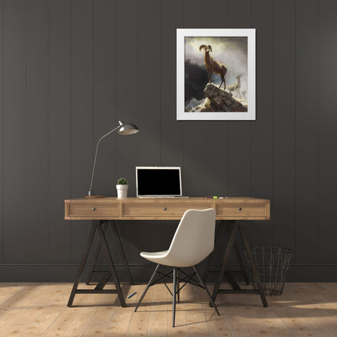 Rocky Mountain Sheep or Big Horn, Ovis, Montana White Modern Wood Framed Art Print by Bierstadt, Albert