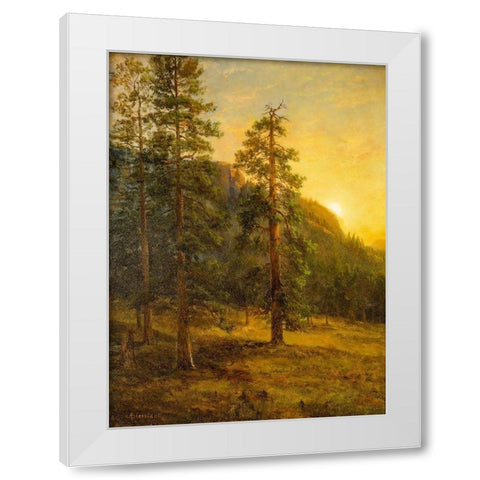 California Redwoods White Modern Wood Framed Art Print by Bierstadt, Albert