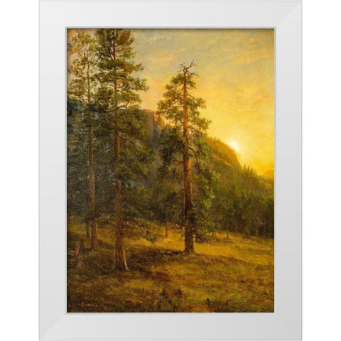 California Redwoods White Modern Wood Framed Art Print by Bierstadt, Albert