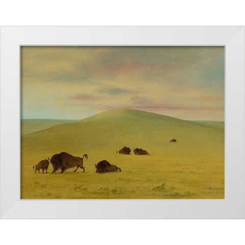 American Pasturage - Prairies of the Platte White Modern Wood Framed Art Print by Catlin, George