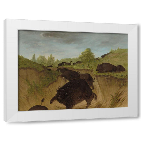 Grizzly Bears Attacking Buffalo White Modern Wood Framed Art Print by Catlin, George