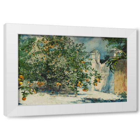 Orange trees and gate White Modern Wood Framed Art Print by Homer, Winslow