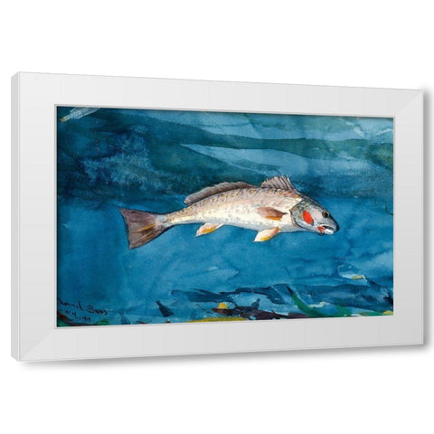 Channel Bass White Modern Wood Framed Art Print by Homer, Winslow