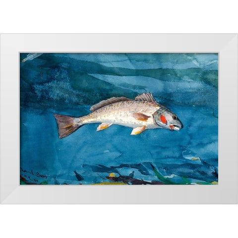 Channel Bass White Modern Wood Framed Art Print by Homer, Winslow