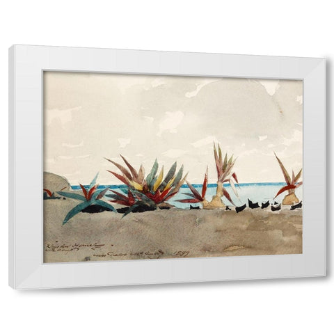 Nassau Beach with Century Plants White Modern Wood Framed Art Print by Homer, Winslow