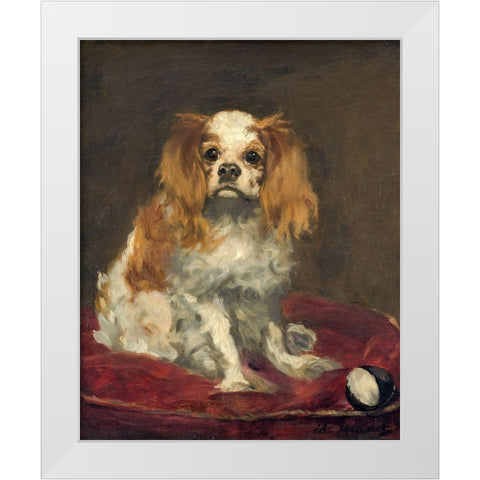 A King Charles Spaniel White Modern Wood Framed Art Print by Manet, Edouard