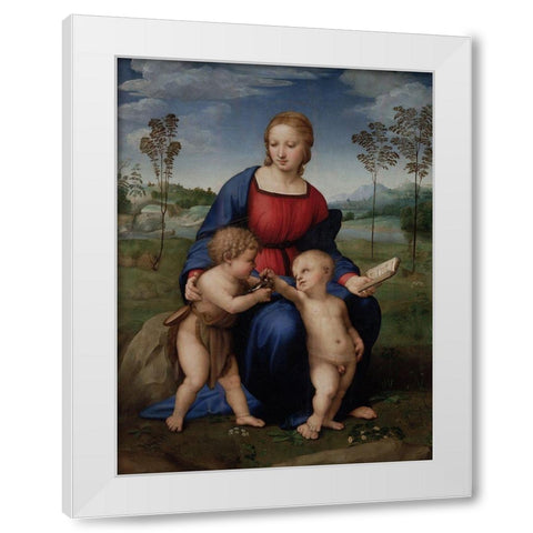 Madonna of the Goldfinch White Modern Wood Framed Art Print by Raphael