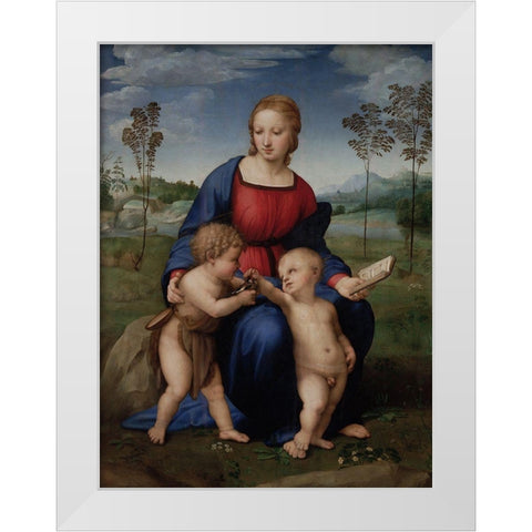 Madonna of the Goldfinch White Modern Wood Framed Art Print by Raphael