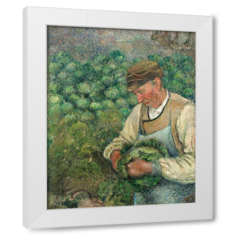 The Gardener - Old Peasant with Cabbage White Modern Wood Framed Art Print by Pissarro, Camille