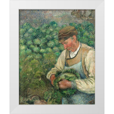 The Gardener - Old Peasant with Cabbage White Modern Wood Framed Art Print by Pissarro, Camille