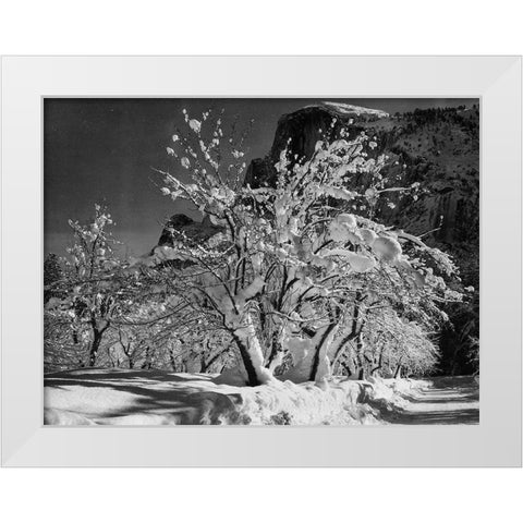 Half Dome-Apple Orchard-Yosemite-California White Modern Wood Framed Art Print by Adams, Ansel
