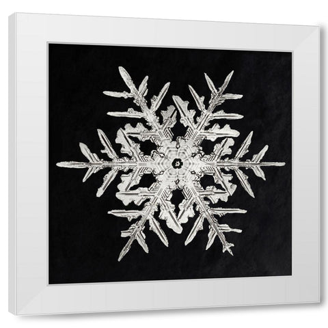 Snowflake 332 White Modern Wood Framed Art Print by Bentley, Wilson