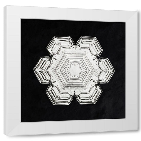 Snowflake 10 White Modern Wood Framed Art Print by Bentley, Wilson