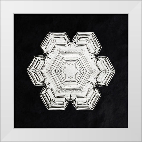 Snowflake 10 White Modern Wood Framed Art Print by Bentley, Wilson