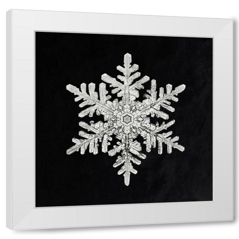 Snowflake 1152 White Modern Wood Framed Art Print by Bentley, Wilson