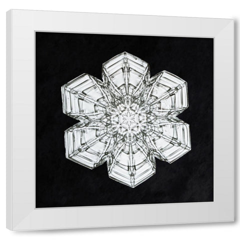 Snowflake 10A White Modern Wood Framed Art Print by Bentley, Wilson