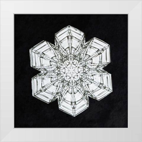 Snowflake 10A White Modern Wood Framed Art Print by Bentley, Wilson