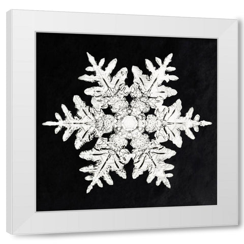 Snowflake 990 White Modern Wood Framed Art Print by Bentley, Wilson