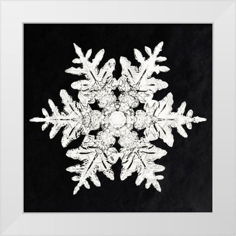 Snowflake 990 White Modern Wood Framed Art Print by Bentley, Wilson