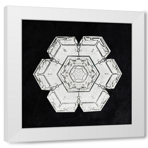 Snowflake 562 White Modern Wood Framed Art Print by Bentley, Wilson