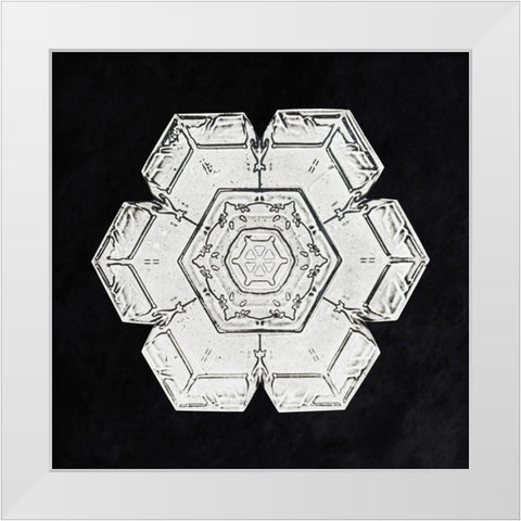 Snowflake 562 White Modern Wood Framed Art Print by Bentley, Wilson