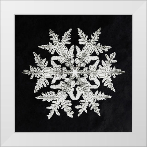 Snowflake 920 White Modern Wood Framed Art Print by Bentley, Wilson