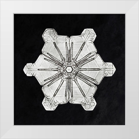 Snowflake 976 White Modern Wood Framed Art Print by Bentley, Wilson