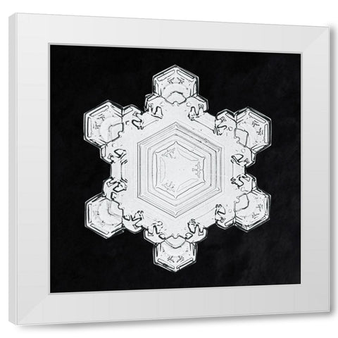 Snowflake 1205 White Modern Wood Framed Art Print by Bentley, Wilson