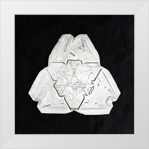 Snowflake 482 White Modern Wood Framed Art Print by Bentley, Wilson