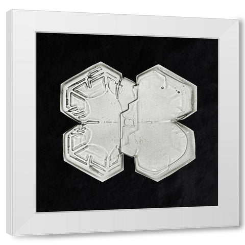 Snowflake 1225 White Modern Wood Framed Art Print by Bentley, Wilson