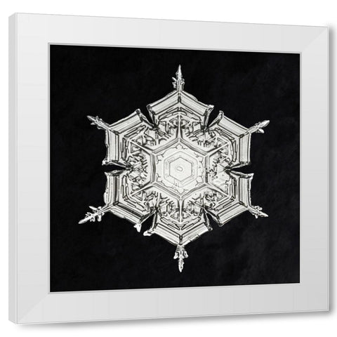 Snowflake 579A White Modern Wood Framed Art Print by Bentley, Wilson