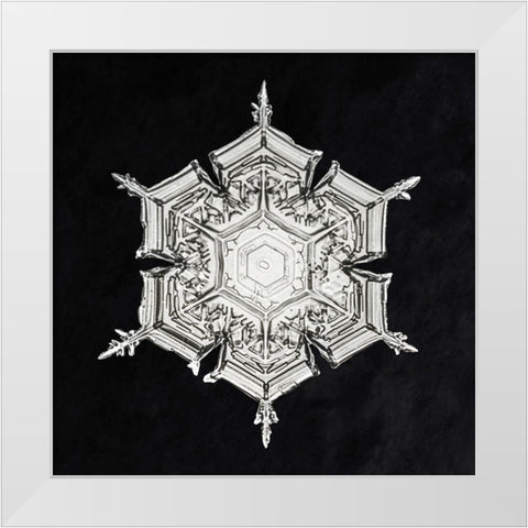 Snowflake 579A White Modern Wood Framed Art Print by Bentley, Wilson