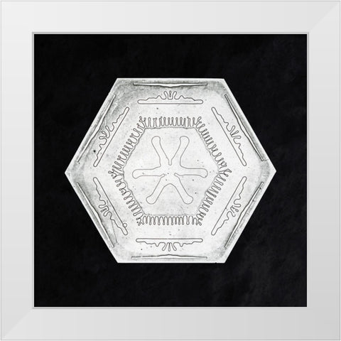 Snowflake 10B White Modern Wood Framed Art Print by Bentley, Wilson