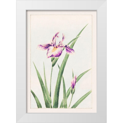 Hana strobel White Modern Wood Framed Art Print by Morikaga, Megata
