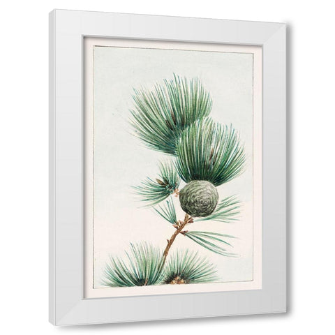 Gayo matsu pine White Modern Wood Framed Art Print by Morikaga, Megata