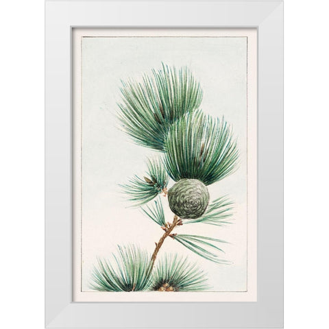 Gayo matsu pine White Modern Wood Framed Art Print by Morikaga, Megata