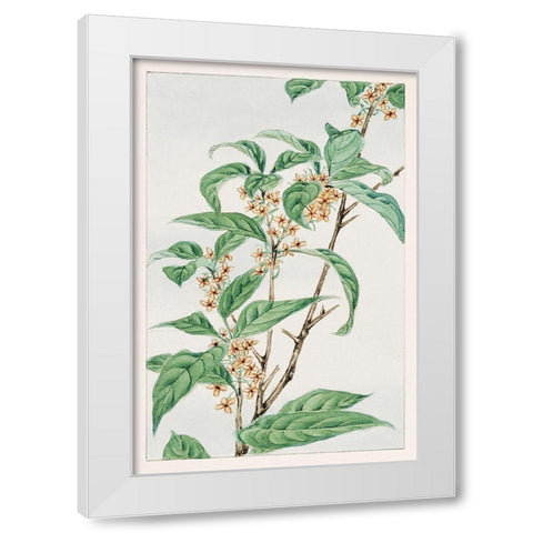 Stem with leaves and small flowers White Modern Wood Framed Art Print by Morikaga, Megata