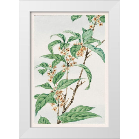 Stem with leaves and small flowers White Modern Wood Framed Art Print by Morikaga, Megata
