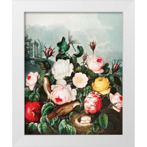 Roses from The Temple of Flora White Modern Wood Framed Art Print by Thornton, Robert John