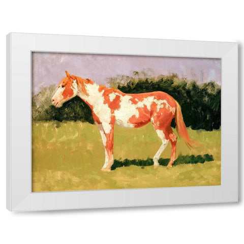 Pinto horse White Modern Wood Framed Art Print by Remington, Frederic