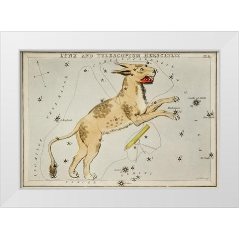 Astronomical chart illustration of Lynx and the Telescopium Herschilii White Modern Wood Framed Art Print by Hall, Sidney