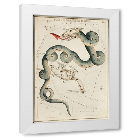 Astronomical chart illustration of the Draco and the Ursa Minor White Modern Wood Framed Art Print by Hall, Sidney