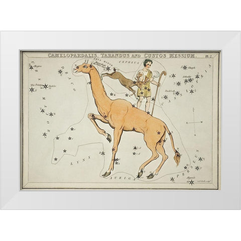 Astronomical chart illustration of the Camelopardalis-Tarandus and the Custos Messium White Modern Wood Framed Art Print by Hall, Sidney