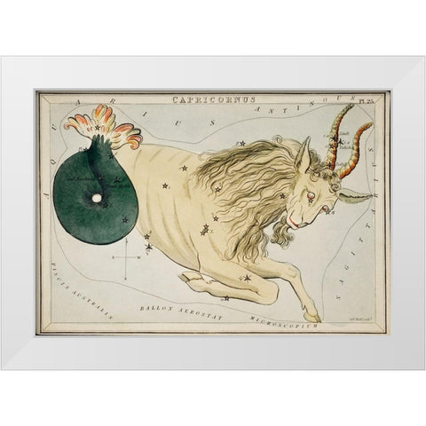 Astronomical chart illustration of the Zodiac Capricornus White Modern Wood Framed Art Print by Hall, Sidney