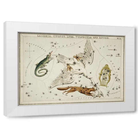 Astronomical chart illustration of the Lacerta-Cygnus-Lyra-Vulpecula and the Anser White Modern Wood Framed Art Print by Hall, Sidney